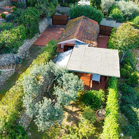 Il Cottage Di Villa Sveva, Splendida Vista Mare Porto Santo Stefano  Eksteriør billede