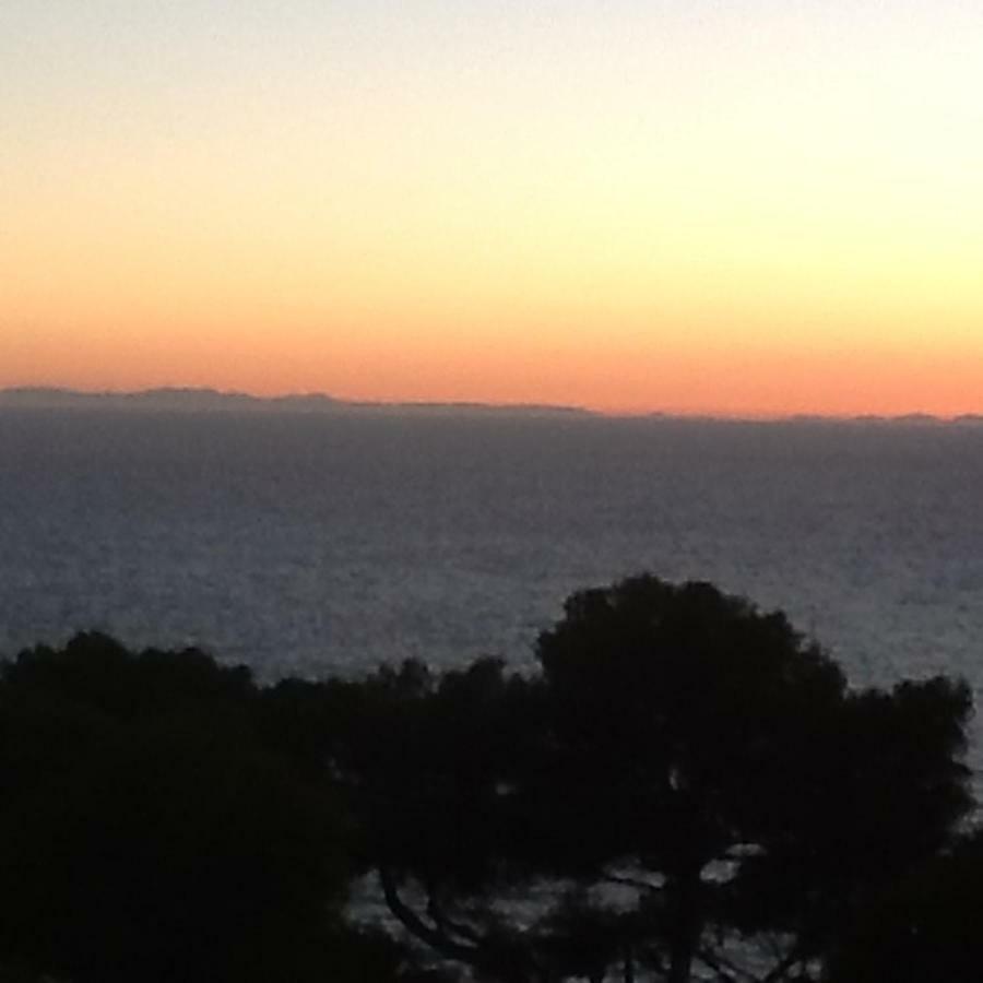 Il Cottage Di Villa Sveva, Splendida Vista Mare Porto Santo Stefano  Eksteriør billede